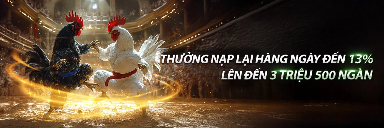 Khuyến Mãi 888new9 2026 - Nhận Ngay Tiền Thưởng Hấp Dẫn