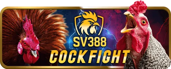 Các chương trình khuyến mãi đặc biệt của 888new9